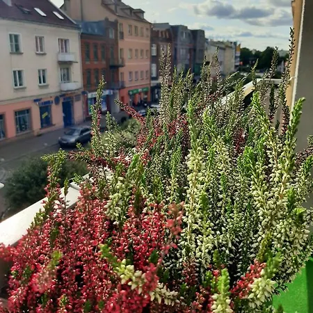 Apartament Centrum